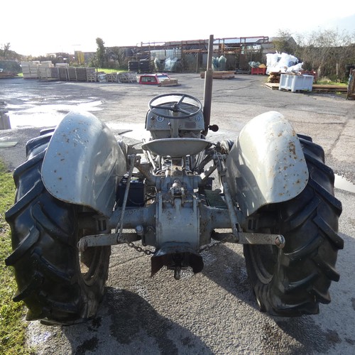 16 - Grey Ferguson Tractor , 1950s no reg number, 4 cylinder diesel, starts and runs, Barn find in good c... 