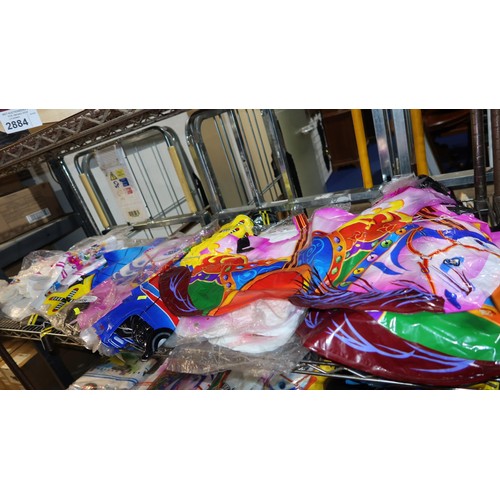 2885 - A large quantity of various helium balloons