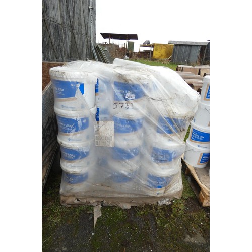 6203 - 1 x Pallet containing 30 + x 22kg tubs of Gyproc ProMix Lite expired 08/08/22