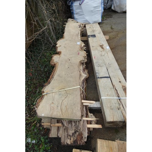 6231 - A quantity of English burr oak slabs measuring approx 240cm L x 32cm W x L