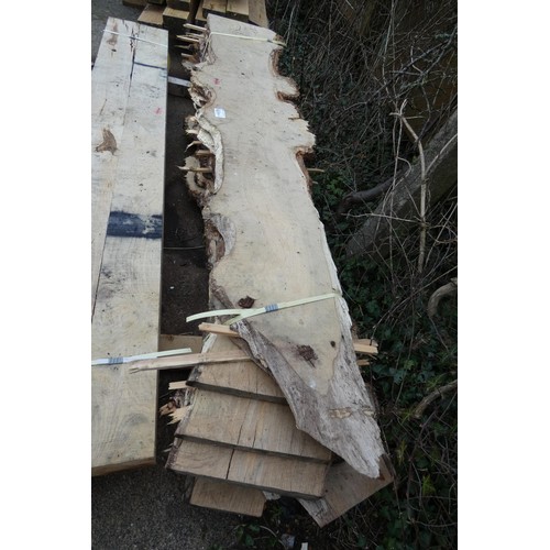 6231 - A quantity of English burr oak slabs measuring approx 240cm L x 32cm W x L