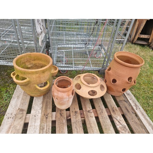 6220G - 4 x various strawberry planters