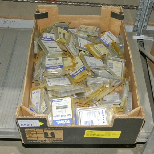 5491 - 1 box containing a quantity of various Rawl staples