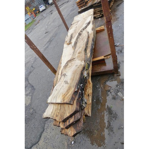 6136 - A quantity of waney edge boards (Spalted Beech), widths vary, lengths vary up to approx 340cm l - bo... 