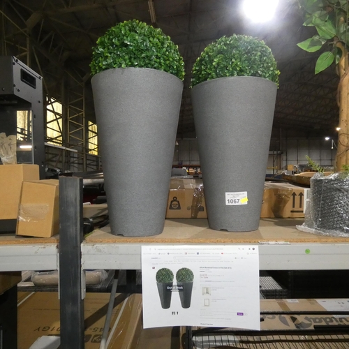 1067 - 2 x artificial Boxwood plants in pots RRP £44