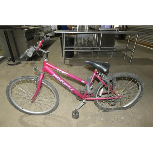 3104 - 1 x Probike Lynx ladies mountain bike