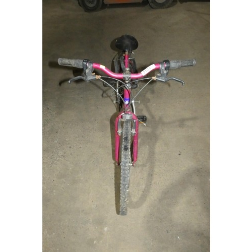 3104 - 1 x Probike Lynx ladies mountain bike