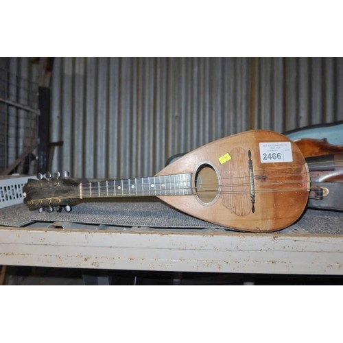 2466 - A French mandolin by JTL Jerome Thibouville-Lamy