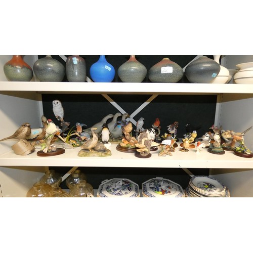 3043A - A collection of miscellaneous ceramic and resin bird ornaments (one shelf)