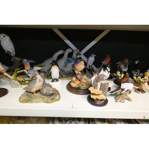 3043A - A collection of miscellaneous ceramic and resin bird ornaments (one shelf)