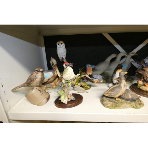 3043A - A collection of miscellaneous ceramic and resin bird ornaments (one shelf)