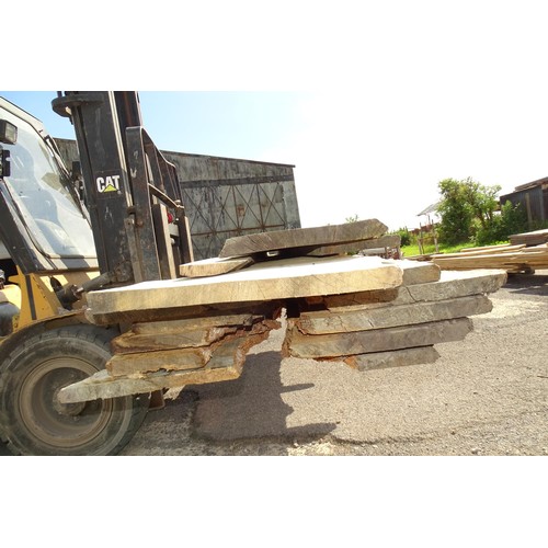 6529 - A quantity of various waney edge boards (oak), widths vary, lengths vary up to approx 345cm - top st... 