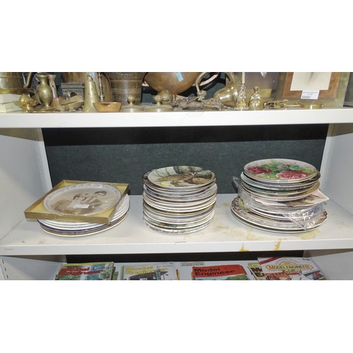 3091 - A quantity of miscellaneous decorative pictorial wall plates etc (one shelf)