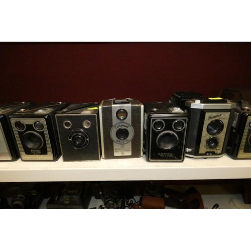 3005 - A collection of vintage box cameras (one shelf)