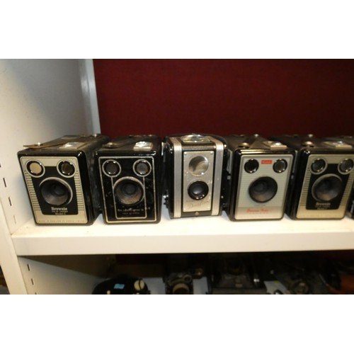 3005 - A collection of vintage box cameras (one shelf)