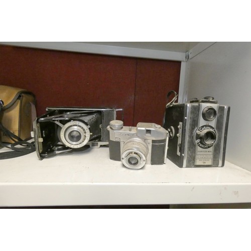 3003 - A collection of vintage box cameras and bellows cameras etc (one shelf)