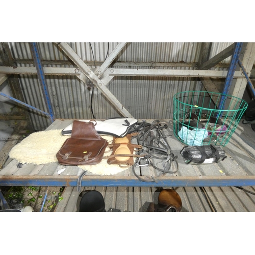 2020 - A quantity of various equestrian related items including a saddle bag, tack etc. Contents of 1 shelf... 