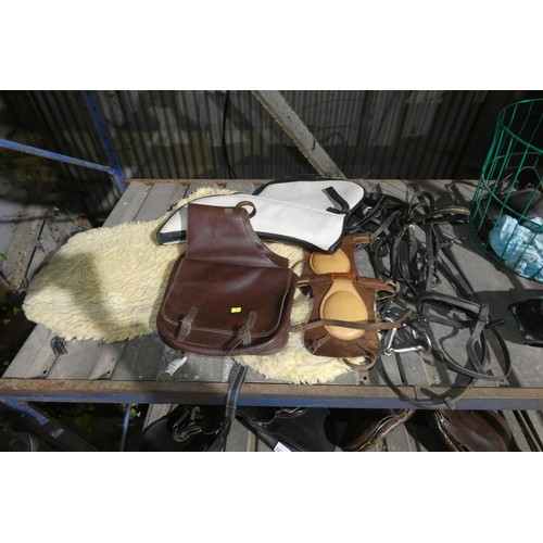 2020 - A quantity of various equestrian related items including a saddle bag, tack etc. Contents of 1 shelf... 