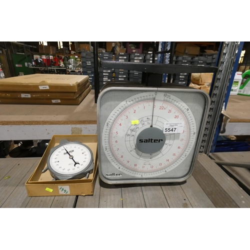 5547 - A set of Salter platform scales capacity 10kg and a Salter hanging balance capacity 100kg