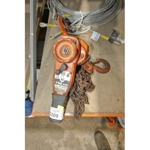 5309 - 1 x hand operated chain ratchet hoist capacity approx 750kg