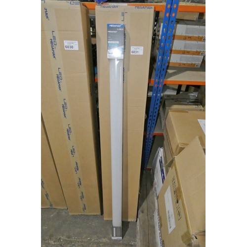 6031 - 1 box containing 12 x Megaman Malo LED batten lights 3000k / 240v / 1500mm long