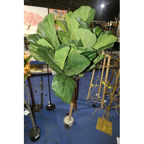 81 - 1 x Tree Locate 170cm artificial fiddle tree