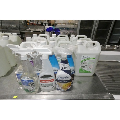 1147 - A quantity of various cleaning materials, cleaner, sanitiser, polish, including 9 x 5lt containers e... 