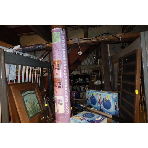 3206 - A quantity of various items including x VAX steam mop 240v, 1 home pole dancing pole, ornaments, a p... 