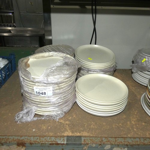 1048 - A quantity of over 50 stoneware plates by Casafina 22cm