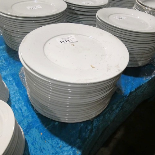 1111 - 20 x large white dinner plates approx 30cm by Art De Cuisine