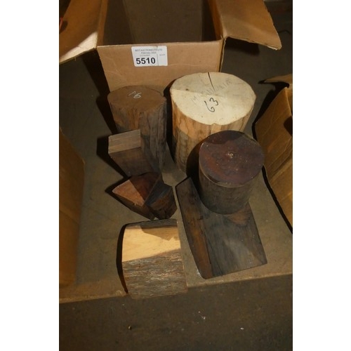 5510 - 1 box containing 8 various pieces of interesting wood including Magnolia