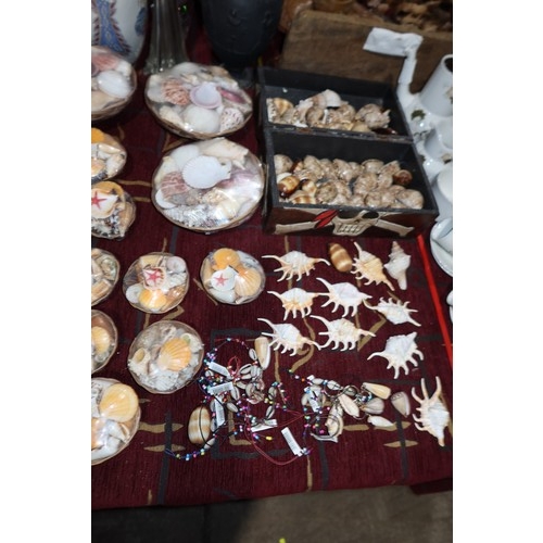 A large quantity of miscellaneous decorative collectors' seashells
