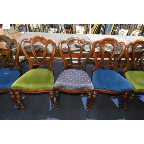 4363 - A set of 12 Victorian mahogany shaped back dining chairs with upholstered seats on fluted and tapere... 