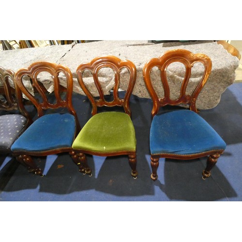 4363 - A set of 12 Victorian mahogany shaped back dining chairs with upholstered seats on fluted and tapere... 