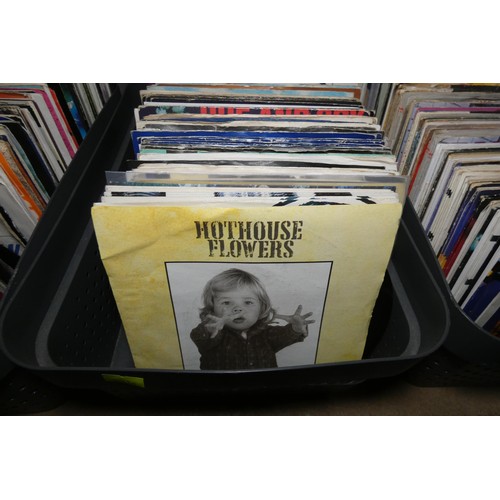 A large quantity of various 7 inch vinyl records. Contents of 1 shelf