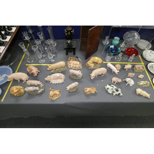 A large collection of decorative ceramic and resin pigs