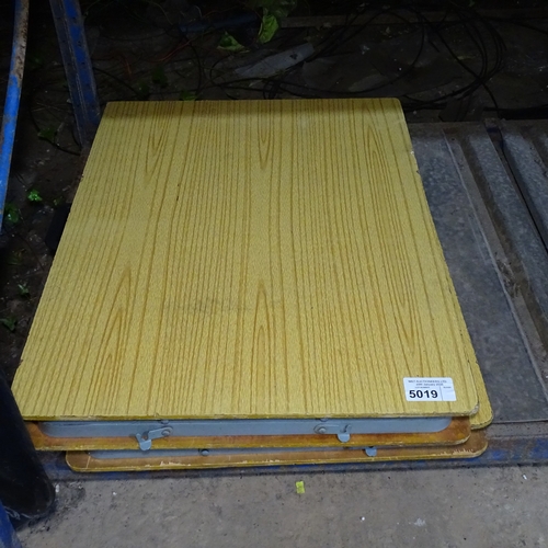 Lot 5019      
