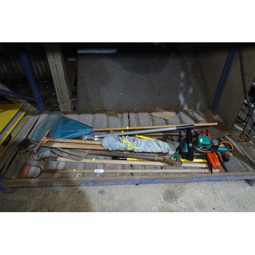 Lot 5023      
