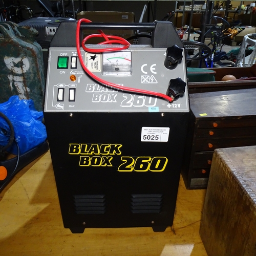 Lot 5025      