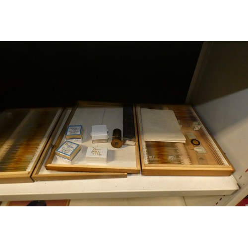 A large quantity of miscellaneous microscope slides (two shelves)