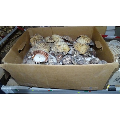 A quantity of various items to include shells, sponge balls and a ...