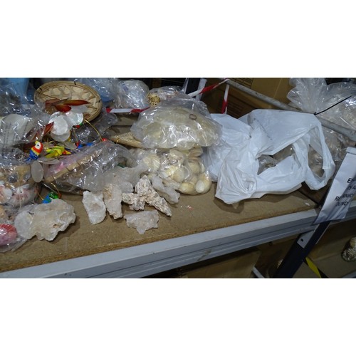 A quantity of various items to include shell art and various shells etc ...
