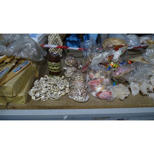 A quantity of various items to include shell art and various shells etc ...