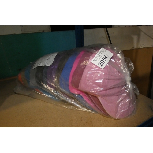 Lot 2054      