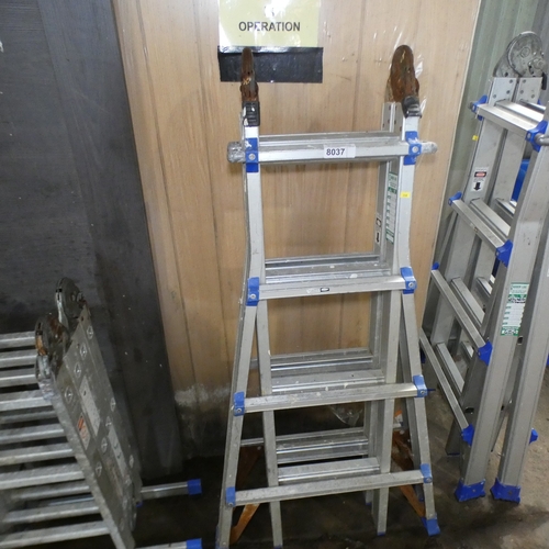 Lot 8037      