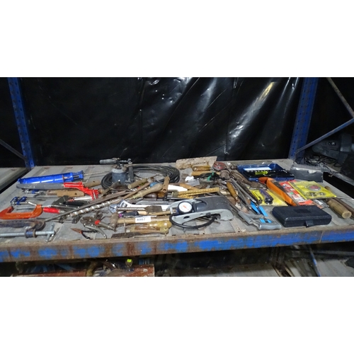 Lot 4007      