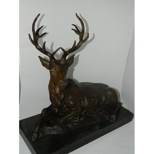 48 - Superb signed bronze of a resting stag 43cm long x 20cm w x 36 H