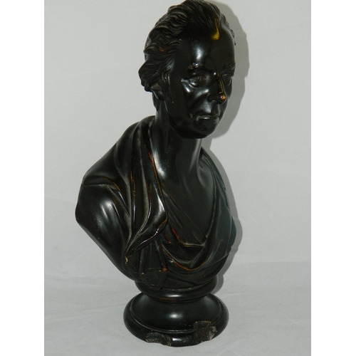 14 - Victorian Bust