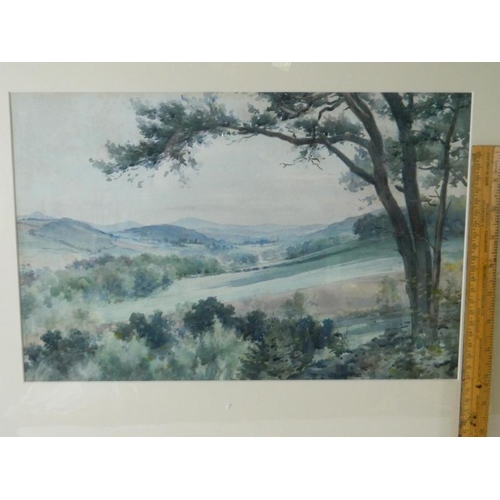 96 - FRANK WATSON WOOD (1862-1953) Sunnyhill Hawick Watercolour, signed and dated 1908 39cm x 25cm ARR