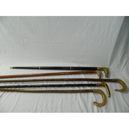 185.2 - Collection of 5 walking sticks